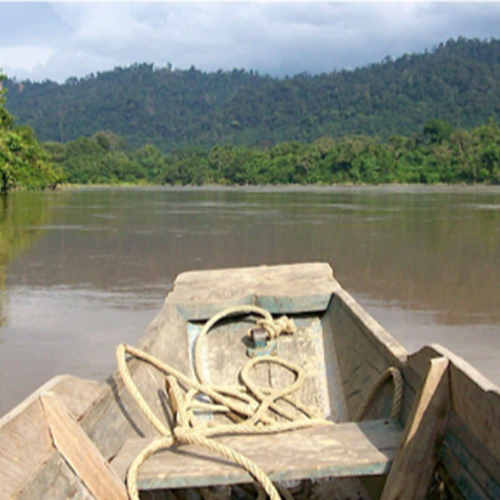Join the Perak River Safari (700 meter from hotel)